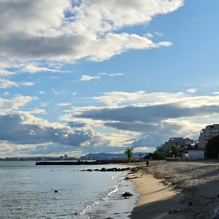 Neu 2025 Emila Romana Boutique- Modernes Luxury Living 써니비치